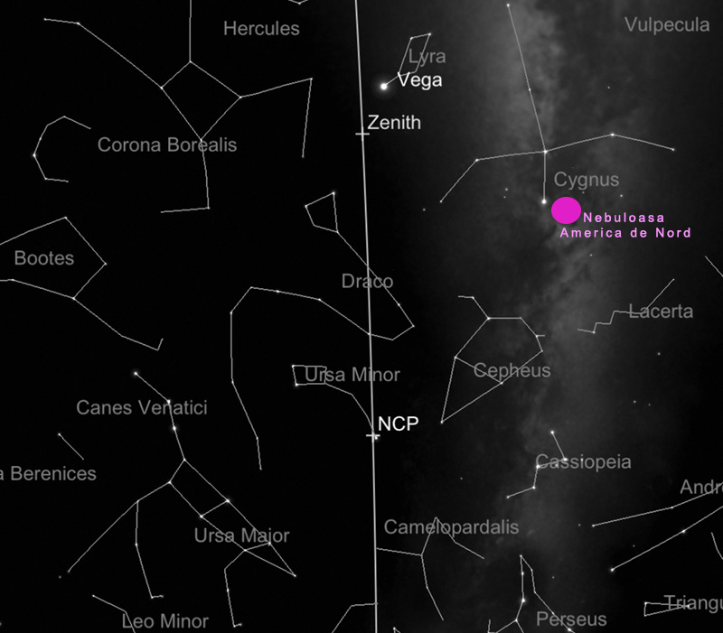 localizare NGC7000