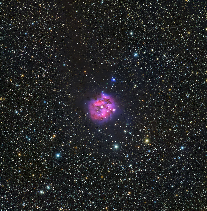 cocoon nebula
