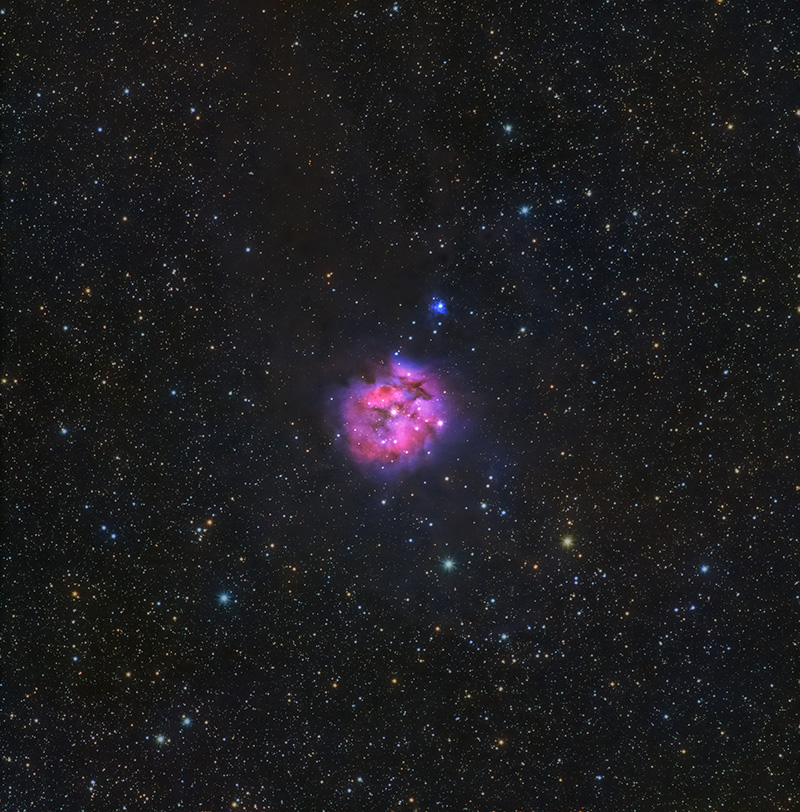 cocoon nebula