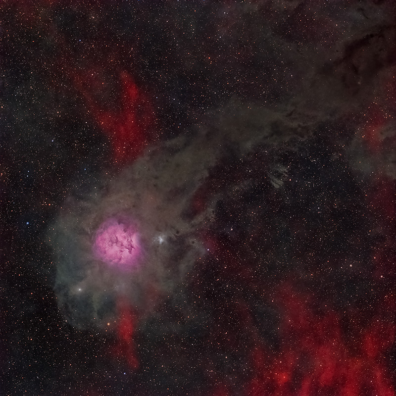 cocoon nebula