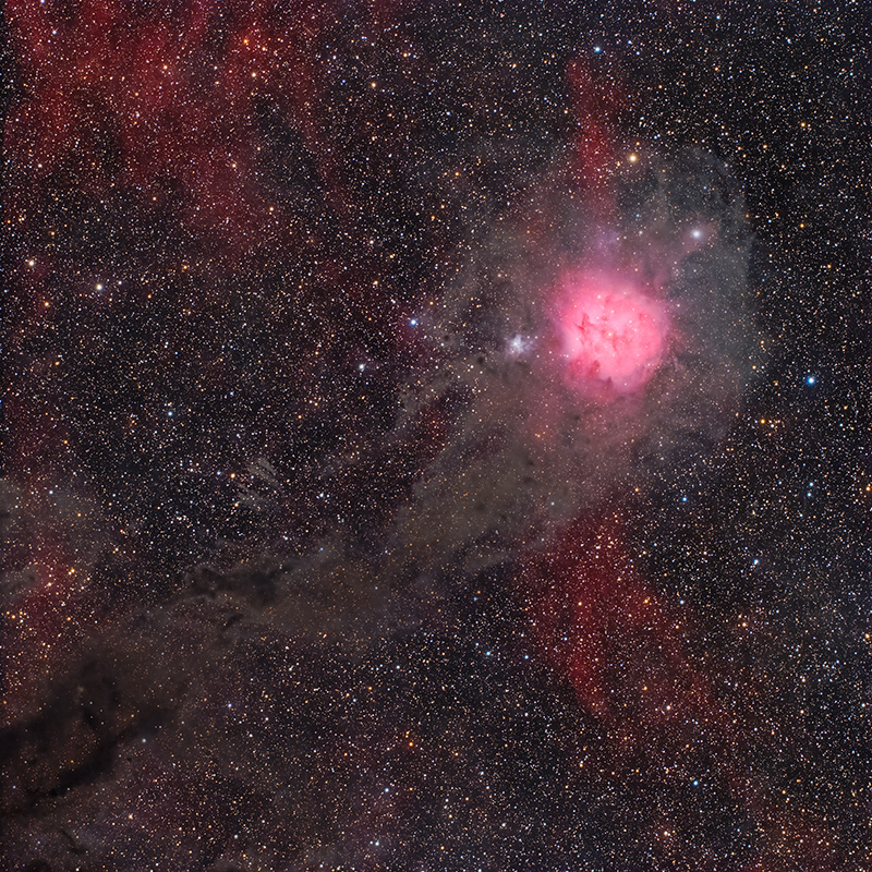 cocoon nebula