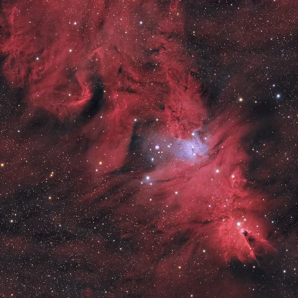 Cone Nebula